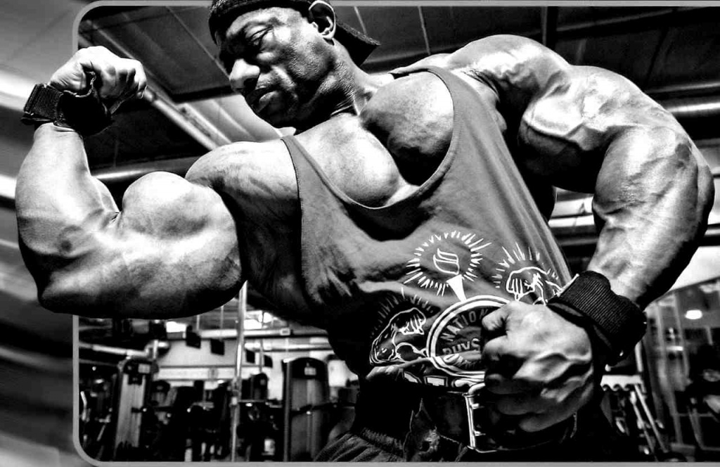 94dcb6ece1c64d567b6d7437655b3947